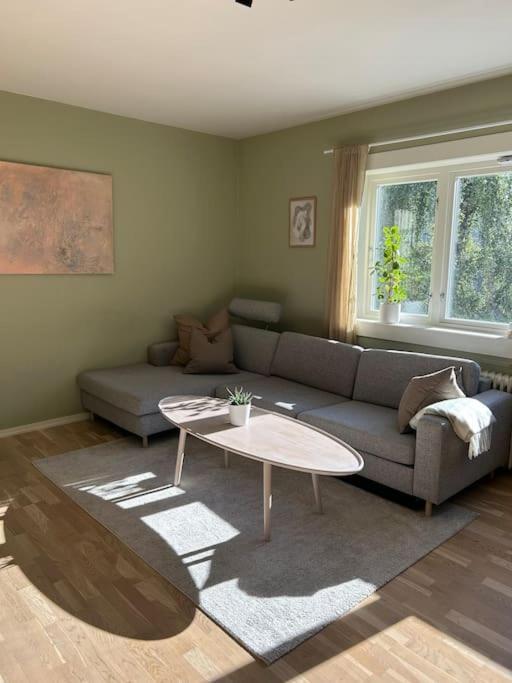 Apartamento Popular Area, Central, 55m2, 1-4 Guests Oslo